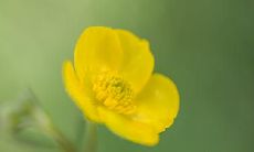 2023年3月20日和3月21日,吉利公司将举行盛大的开业庆典,这场庆典会给人们带来令人兴奋的体验吗?