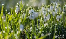 好消息!2023年3月24日及25日将开放新店,敬请期待!