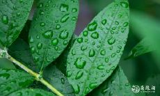 在2023年3月,是20日还是21日举办生日宴更合适呢?