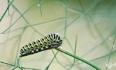 哪一天举办生日宴更合适 - 2023年3月16日还是3月17日?