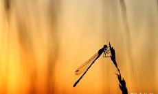 2023年兔年春季,3月16日和17日开始动土,具备吉祥的预兆吗?