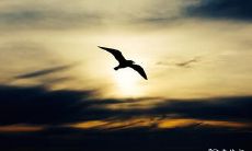 2023年兔年3月13日和14日是否适宜进行动土工程?