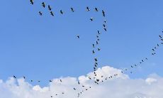 在2023年3月19日、20日、21日中,哪一天是购买手机最佳时机?