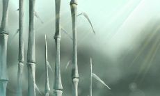 探究你和TA之间的爱情水平:我们将会评估你的爱情指数究竟能达到多高?