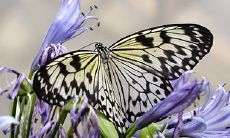 2023年3月10日、11日、12日中何时最适合购买手机呢?