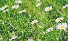 是否在2023年3月26日星期日或3月27日星期一可顺利入住自己的新家呢?