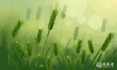 2023年3月21日和22日是否适合购买和提取汽车?