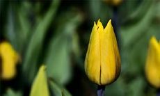 购置汽车的最佳时间点是2023年3月13日和14日吗?在这两天提车是否更加适合?