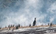 2023年3月9日和10日是否适合购买和提取汽车?这时机是否优越?