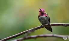 哪一天更适合进行相亲,2023年3月13日还是3月14日?