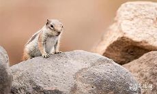 在2023年3月11日和3月12日中,哪一天更适合于参加相亲活动?