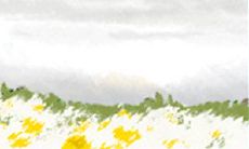 如何透过有效的安慰方法让气愤的金牛座男性恢复平静?