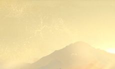 日常互动中爱情虐狗的程度到底有多高？来测一测！