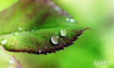 2023年兔年3月6日和3月7日举行出殡,这个时机是否适合吉利之谈?