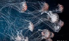 2023年兔年3月30日和31日是否适宜办满月酒庆祝仪式?