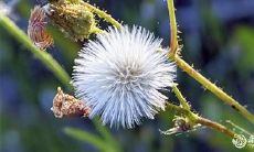 2023年兔年3月18日和19日是否适宜举办满月宴?探究吉日选定的依据与方法