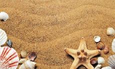 2023年兔年3月16日和17日是适宜办满月酒的好日子吗?