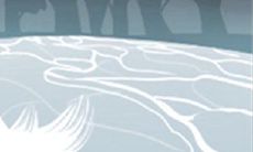 有多少男人潜在的游戏性别角色表现能力可以测？