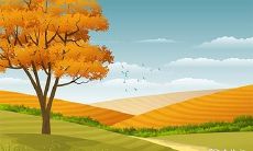 2023年5月1日和5月2日是否适宜举办婚礼?这两天嫁娶是否有吉利之兆?