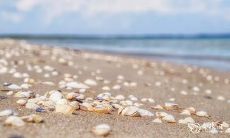 2023年5月21日、22日的吉日宜嫁娶吗?是否适合举办婚礼,预示着婚姻美满幸福?