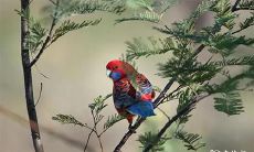 2023年4月3日和4日选定的婚礼日子是否利于结婚和婚姻的幸福？