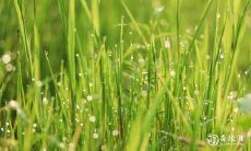 挑选2023年3月23日和3月24日进行订婚的合适性如何？