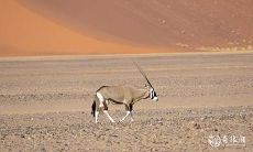 在2023年，3月13日及3月14日是否适宜作为订婚的宜日？