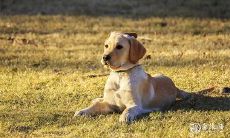 在2023年3月21日和22日这两天,是否适合选择这个节点来领取结婚证?