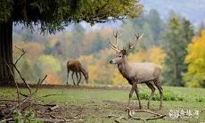 商讨2023年3月13日、14日是否为适宜领证的吉日:展望幸福婚姻的未来