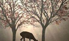 2023年3月3日和4日适宜领证吗?将这两日视为吉日是否合适?