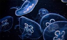 二零二三年三月十日几点算吉时？查询二月十九日对应的吉时信息