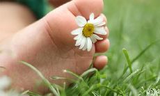 如何查询2023年3月6日二月十五吉时的时间？