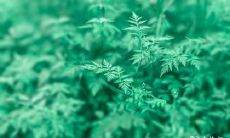 在2023年3月,22日还是23日举办生日宴更加理想?