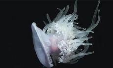 在虎年2023年3月1日和2日购买房产是否是明智之举?