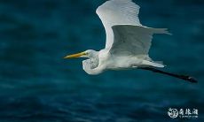 为2023年生日宴,选择3月14日还是15日?这是个需要仔细考虑的难题!