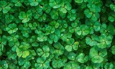 2023年兔年建设工程动工日期——选择3月21日还是22日更好呢?