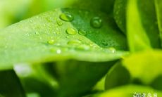 哪一天是最佳的选择?2023年兔年3月25日或26日开始动工?