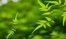 注定走向财富的末尾数字：解析手机号码中的谐音含义