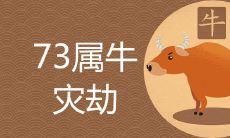 在中国农历属牛的人中,生于73年的49岁是否真的会遭受灾难?