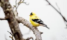 掌握五行气场之功,让你成为2023年3月31日时尚穿衣新宠!