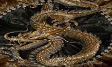 在2023年兔年,生肖龙将会是最幸运的,拥有最好的运势