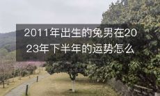 未来两年后, 2011年出生的兔男生肖在2023年下半年的机遇和运势会是怎样的?