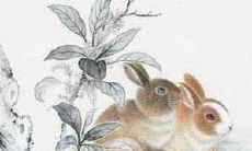 根据八字算命，属兔人在哪几个月容易犯“月”？