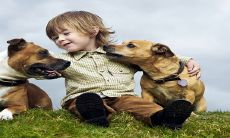 探究姓葛的名字2023:探索具有意义和独特性的个性化命名方式