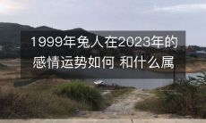 1999年出生的兔子属相在2023年感情运势如何?他们与哪些属相适合恋爱?