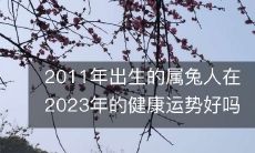 针对2011年出生的属兔人，对其2023年的健康状况进行分析和预测，您是否还担心属兔人在未来的健康运势呢？