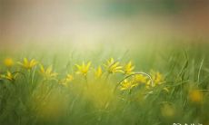 2023年2月20日至22日乘坐吉利航空的飞机旅行可行性如何?