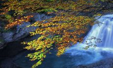 探究2023年出现闰二月的意义，并全面研究历史上哪些年份出现过闰二月以及未来哪些年份也将出现这一现象