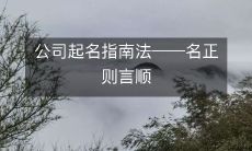 如何给公司取名?名副其实才能行!——公司命名指南详解