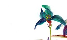 吉日:探究2023年4月最佳祥瑞日,追寻最具吉祥祈福意义的黄道宝藏日!